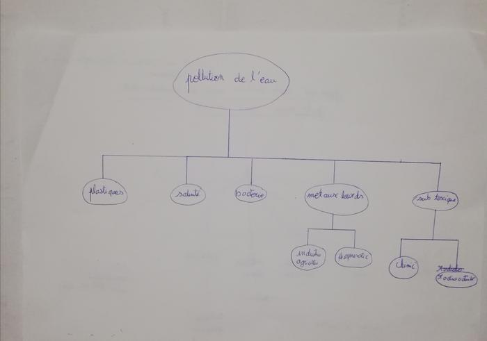 grouparbre