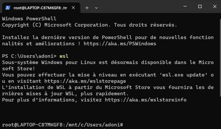 Alt text